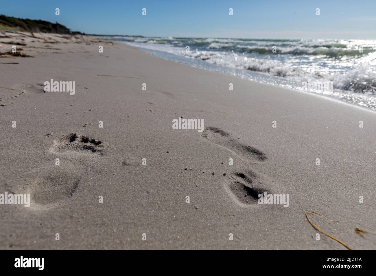 footprints in the wet sand Stock Photo