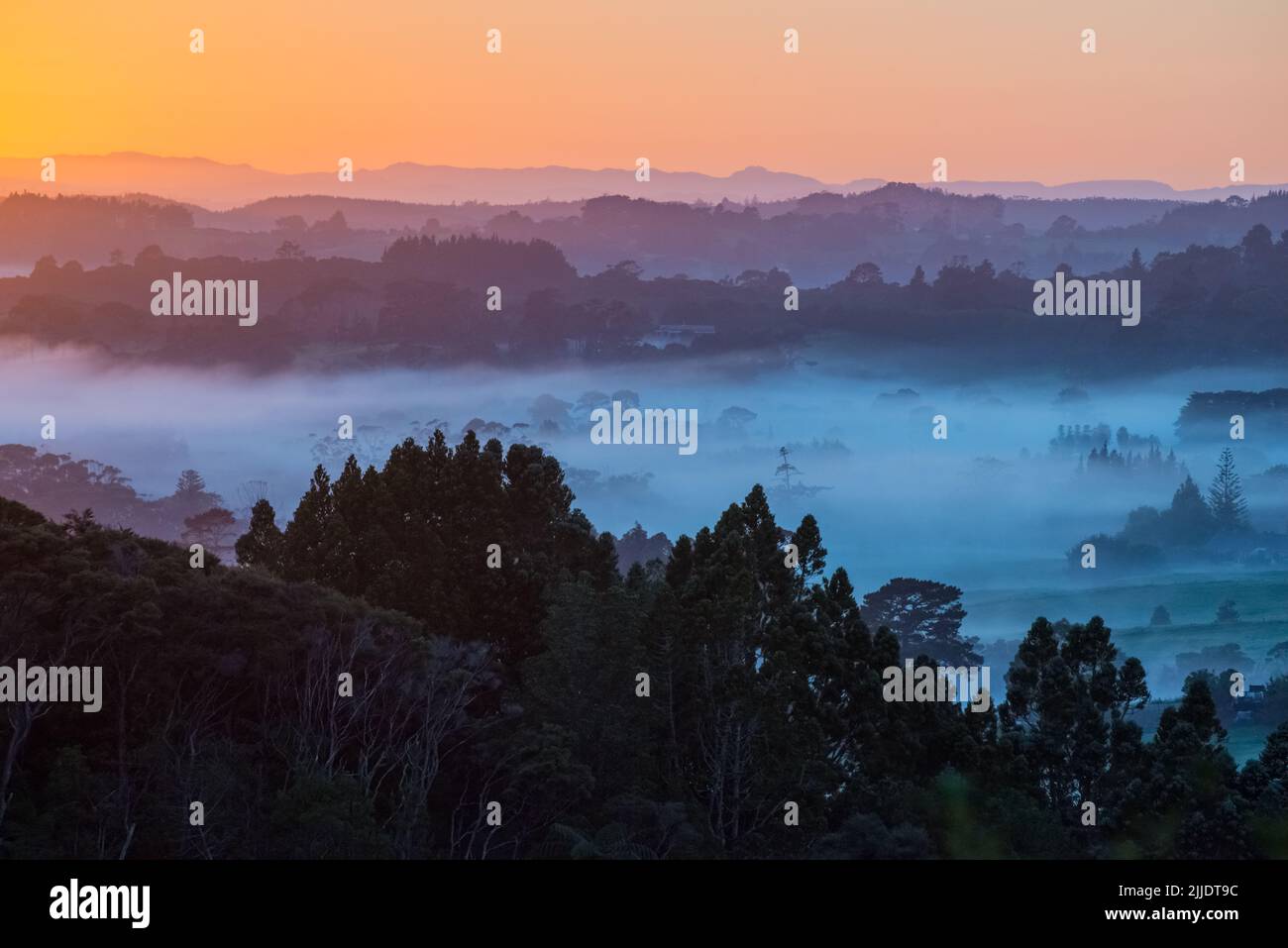 Mist trees new zealand hi-res stock photography and images - Alamy