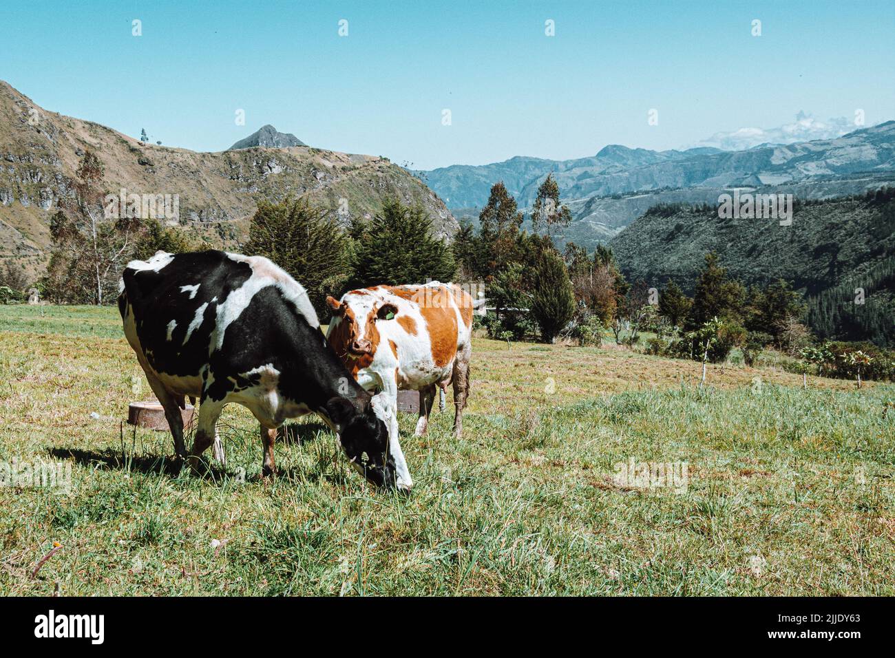 Ecuadorian villages hi-res stock photography and images - Alamy