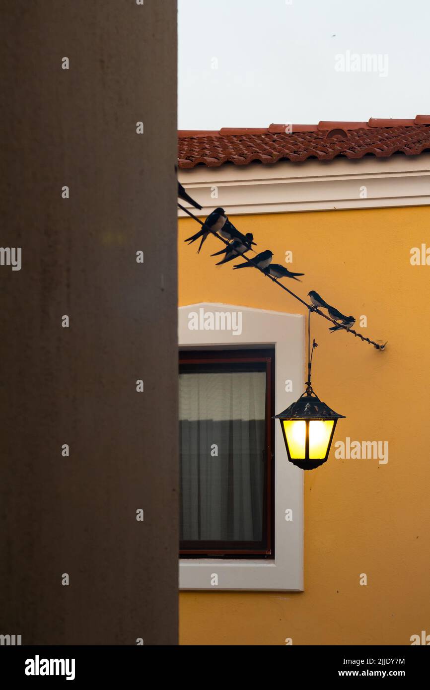 View of many swallows on wire between traditional Aegean houses and street lamp captured in famous, touristic Aegean town called Alacati. It is a vill Stock Photo