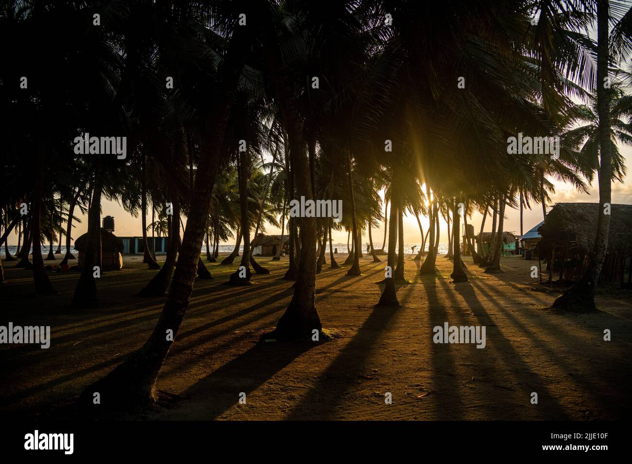 Sunset through palm trees in the San Blas Islands in Panama Stock Photo