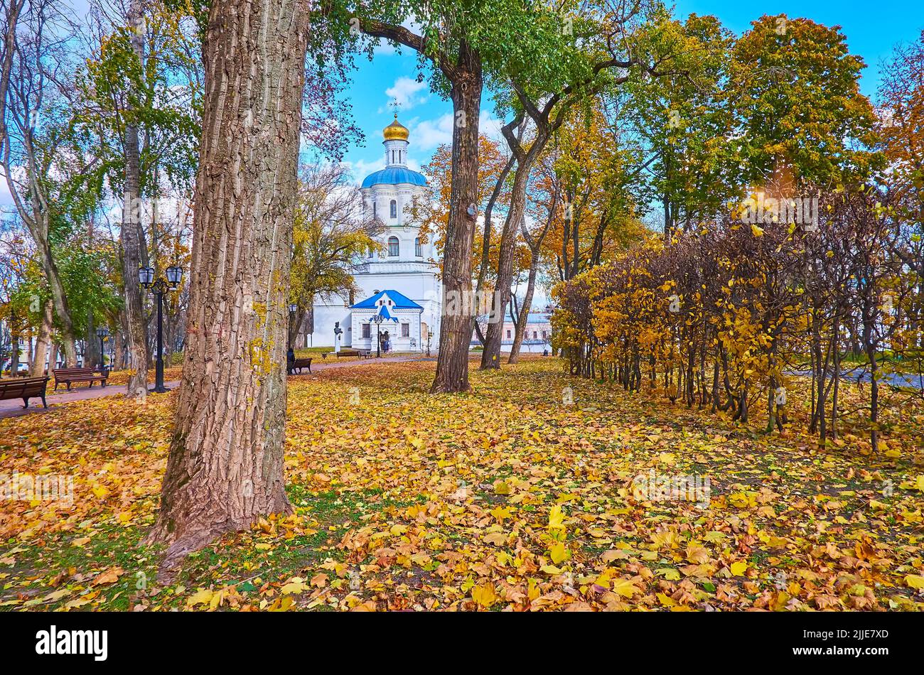 Walk down the picturesque autumn Chernihiv Dytynets Park with a view of Chernihiv Collegium behind the trees, Chernihiv, Ukraine Stock Photo
