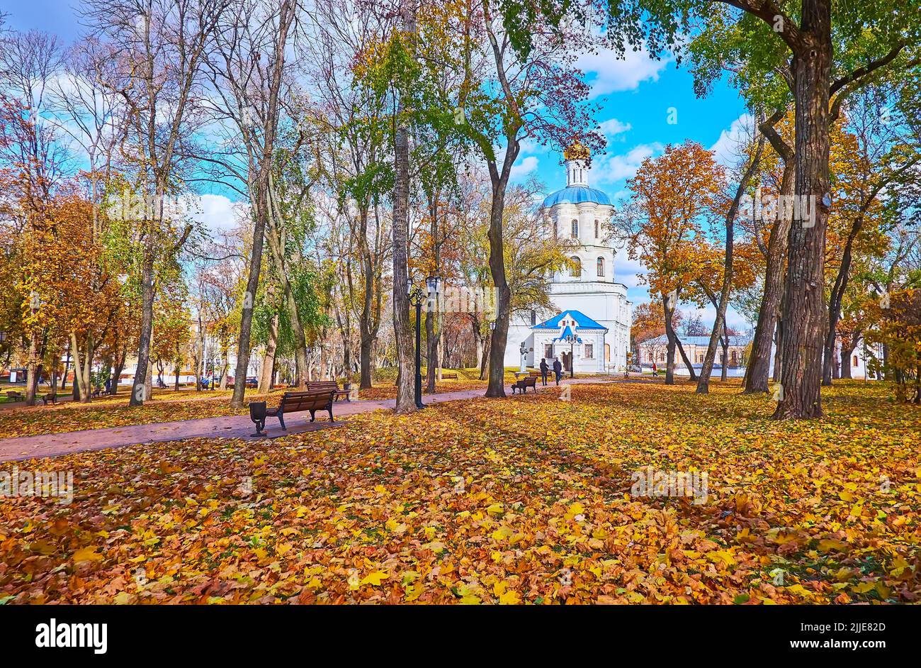 Enjoy the golden autumn season in the old Chernihiv Dytynets (Chernigov Citadel) Park with a view on the carpet of leaves on the floor and the medieva Stock Photo