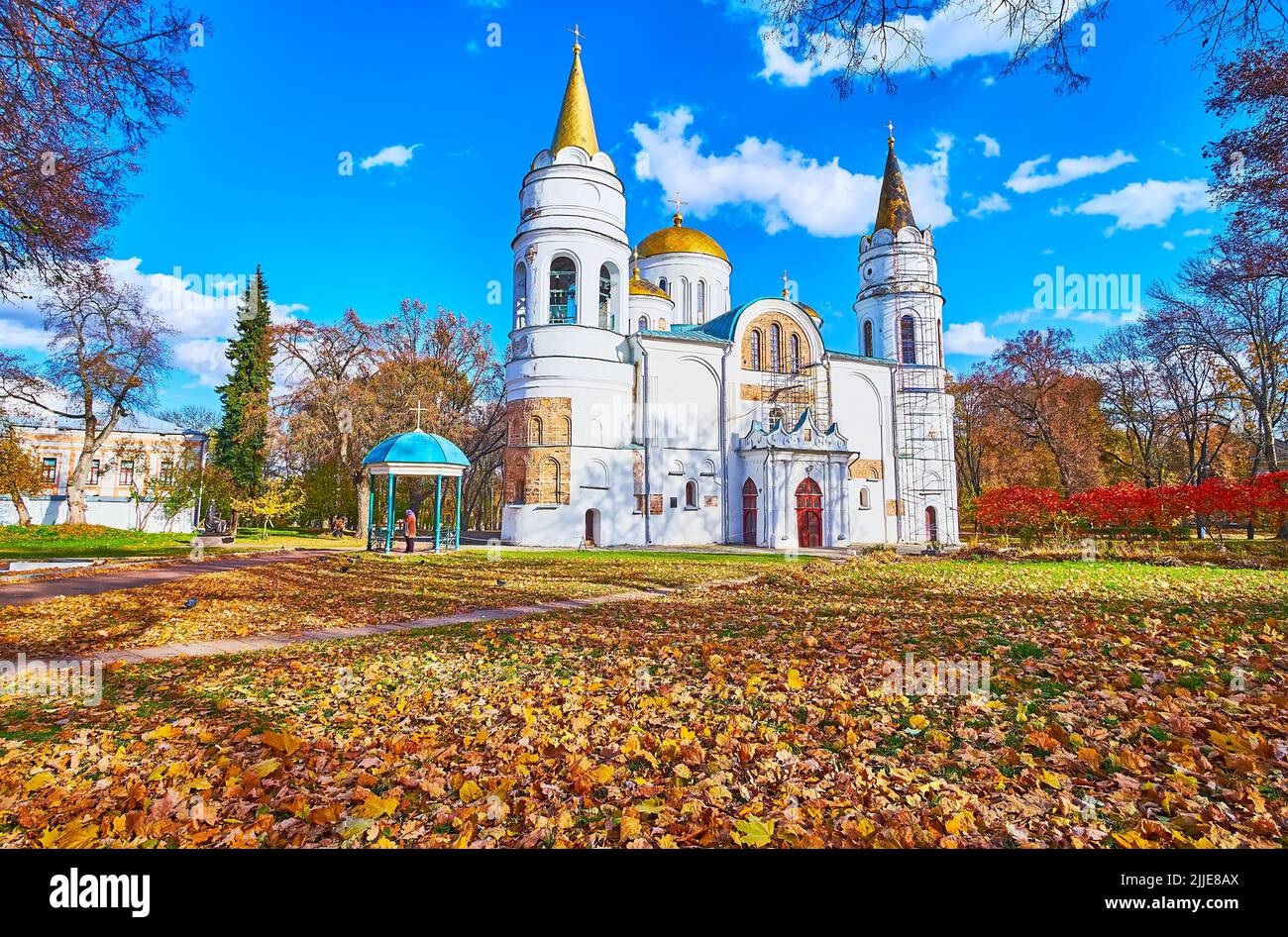 The facade of medieval Orthodox Transfiguration Cathedral, located in Chernihiv Dytynets (Chernigov Citadel) Park, Chernihiv, Ukraine Stock Photo