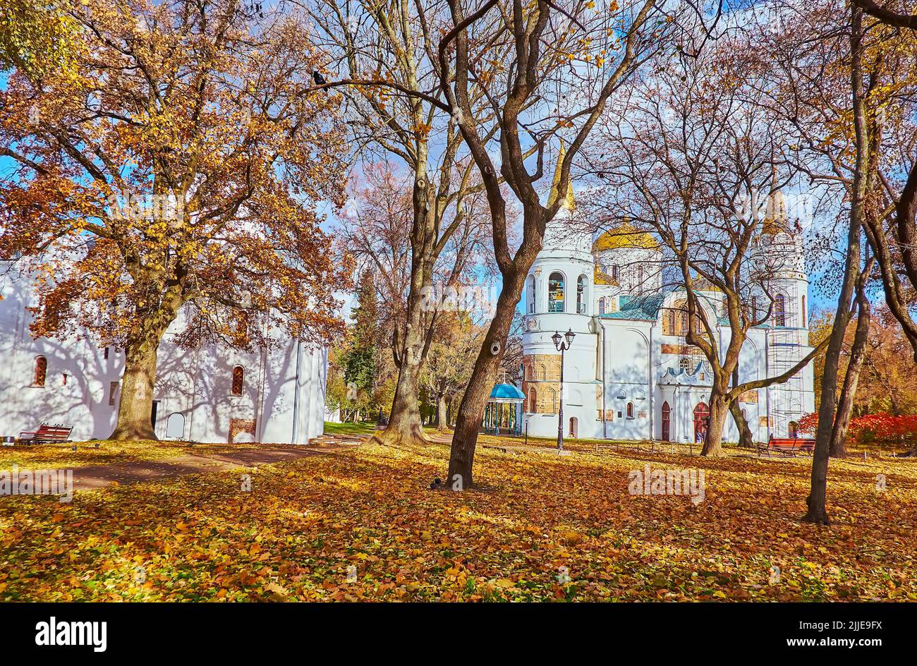Orthodox Cathedrals of Transfiguration and Borys and Hlib, seen through the yellow autumn trees of Chernihiv Dytynets (Chernigov Citadel) Park, Cherni Stock Photo