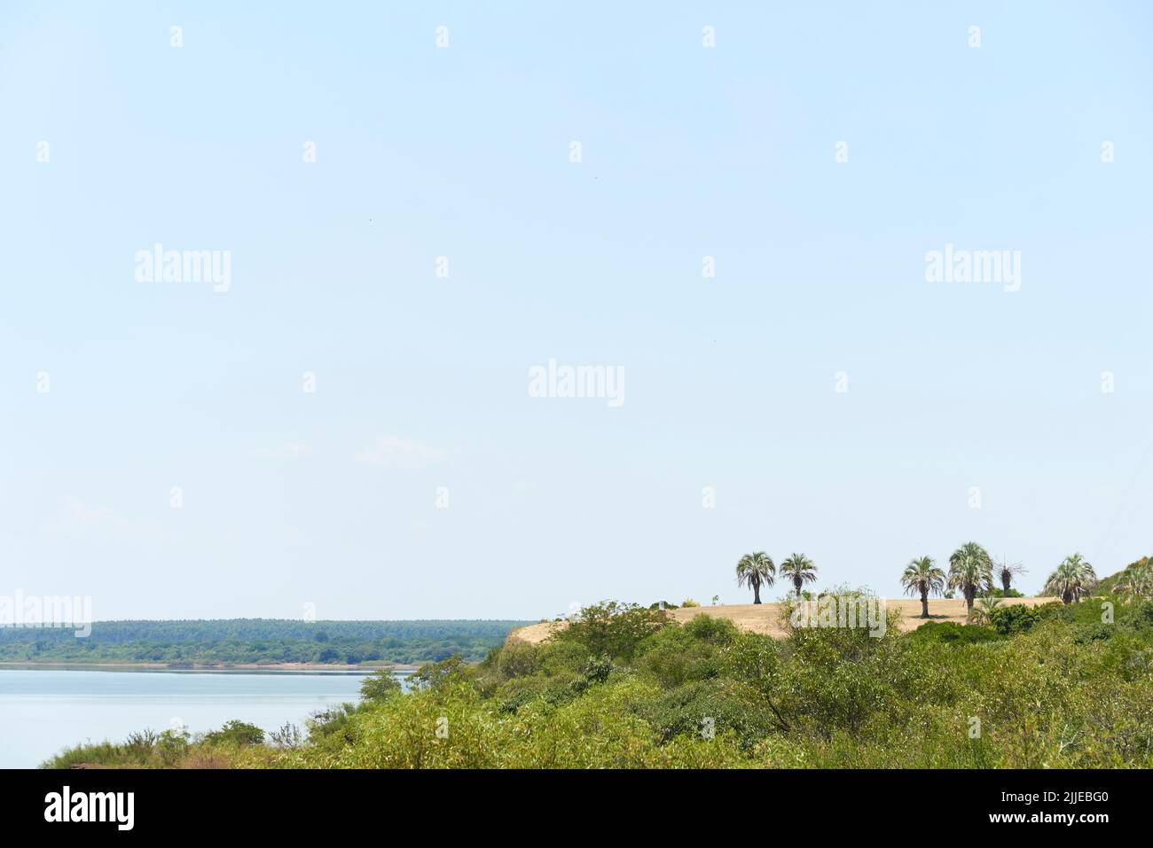 Summer landscape without people in El Palmar National Park, Entre Rios ...