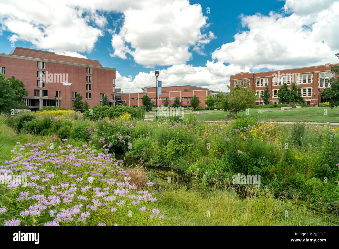 EAU CLAIRE, WI, USA - JULY 24, 2022: Arboretum and campus buildings at the University of Wisconsin-Eau Claire. Stock Photo