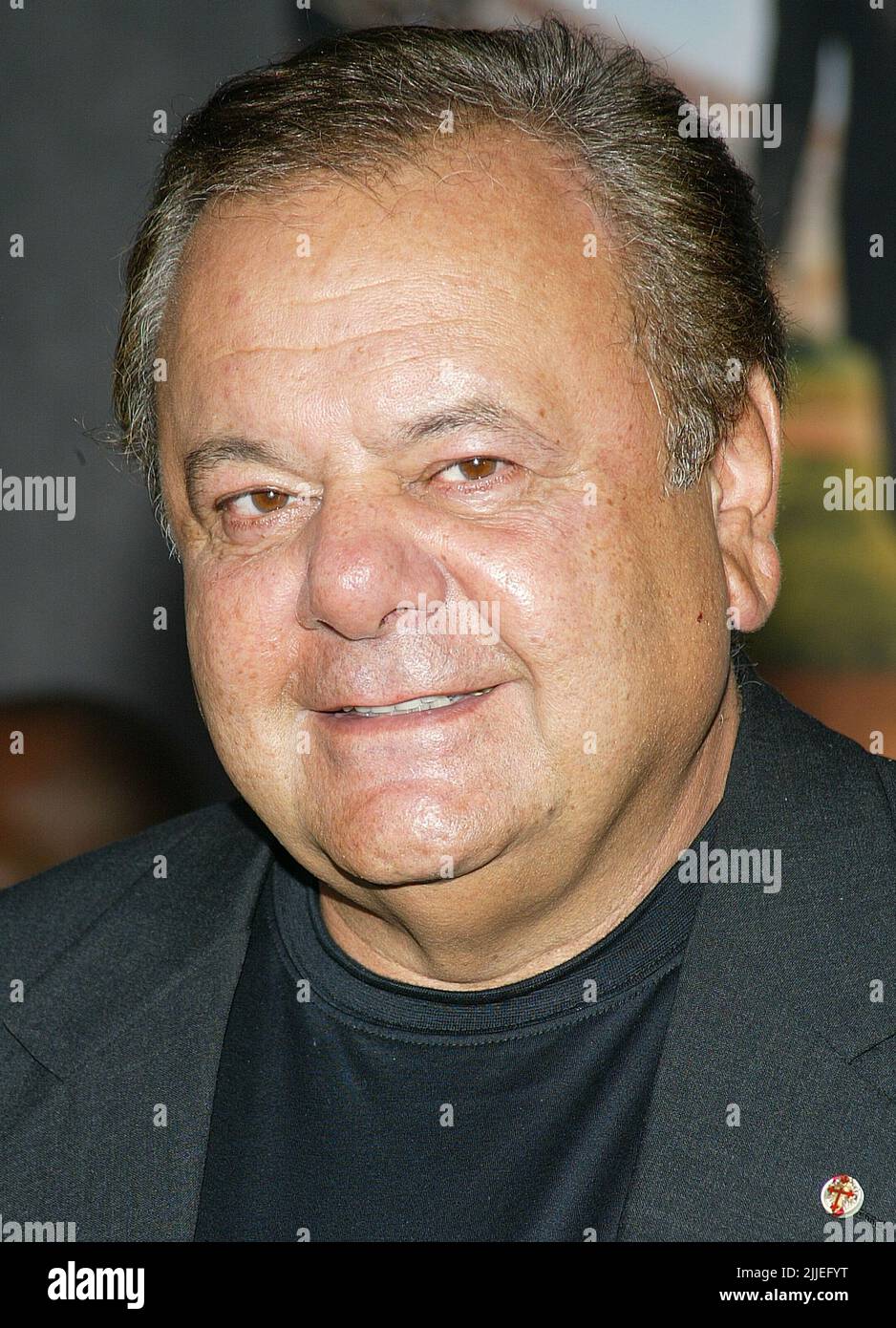 PAUL SORVINO (April 13, 1939 - July 25, 2022) was an American actor, opera singer, businessman, writer, and sculptor. He often portrayed authority figures on both sides of the law and was known for his roles in the 1990 gangster film 'Goodfellas', and the TV series 'Law & Order'. FILE PHOTO SHOT ON: September 8, 2004, Hollywood, California, USA: Actor PAUL SORVINO at the Los Angeles Premiere of' Mr. 3000' held at the El Capitan Theatre. (Credit Image: Rena Durham/ZUMAPRESS.com) Stock Photo
