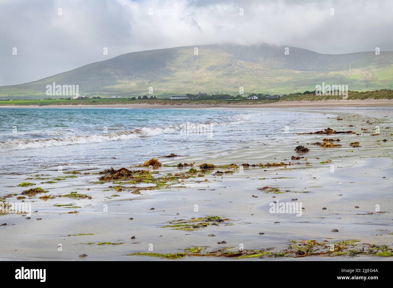 Ventry Bay Beach in County Kerry, Ireland Stock Photo