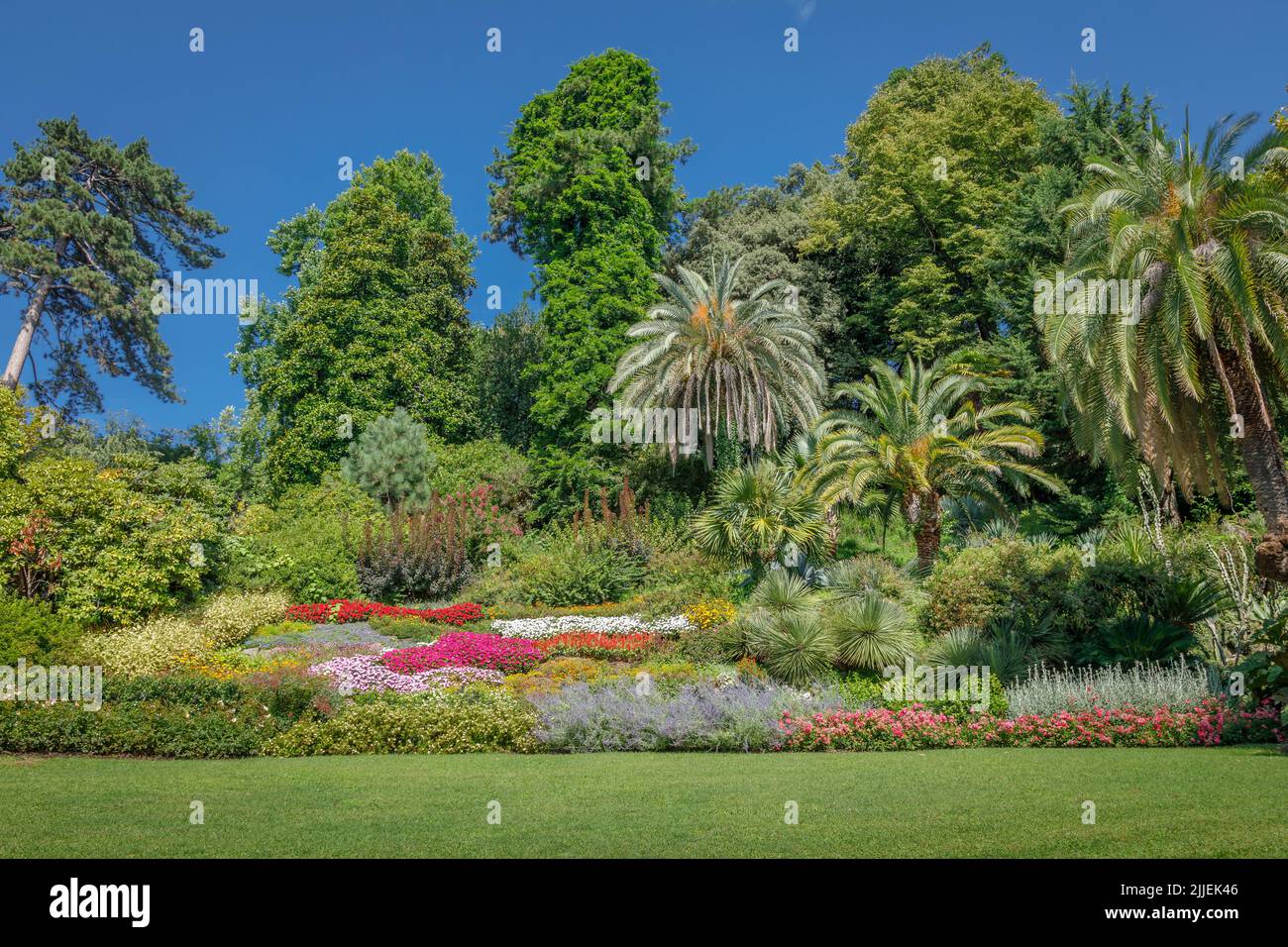 Luxury Garden at sunny day with palm trees and colorful flowers, lake Como, Italy Stock Photo