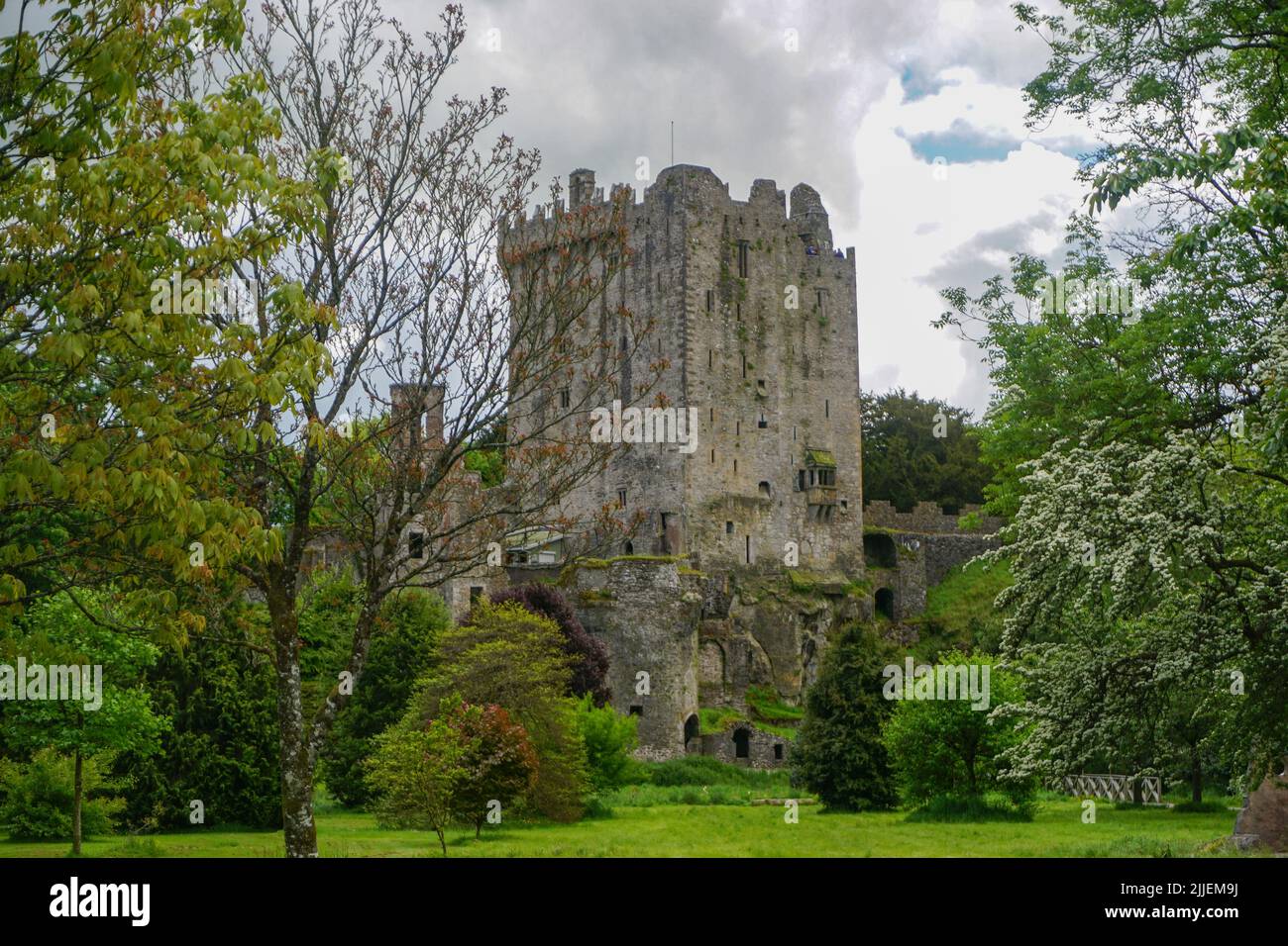 Blarney, Co. Cork, Ireland: Blarney Castle, home of the famous Blarney Stone, is a medieval stronghold built in 1446. Stock Photo