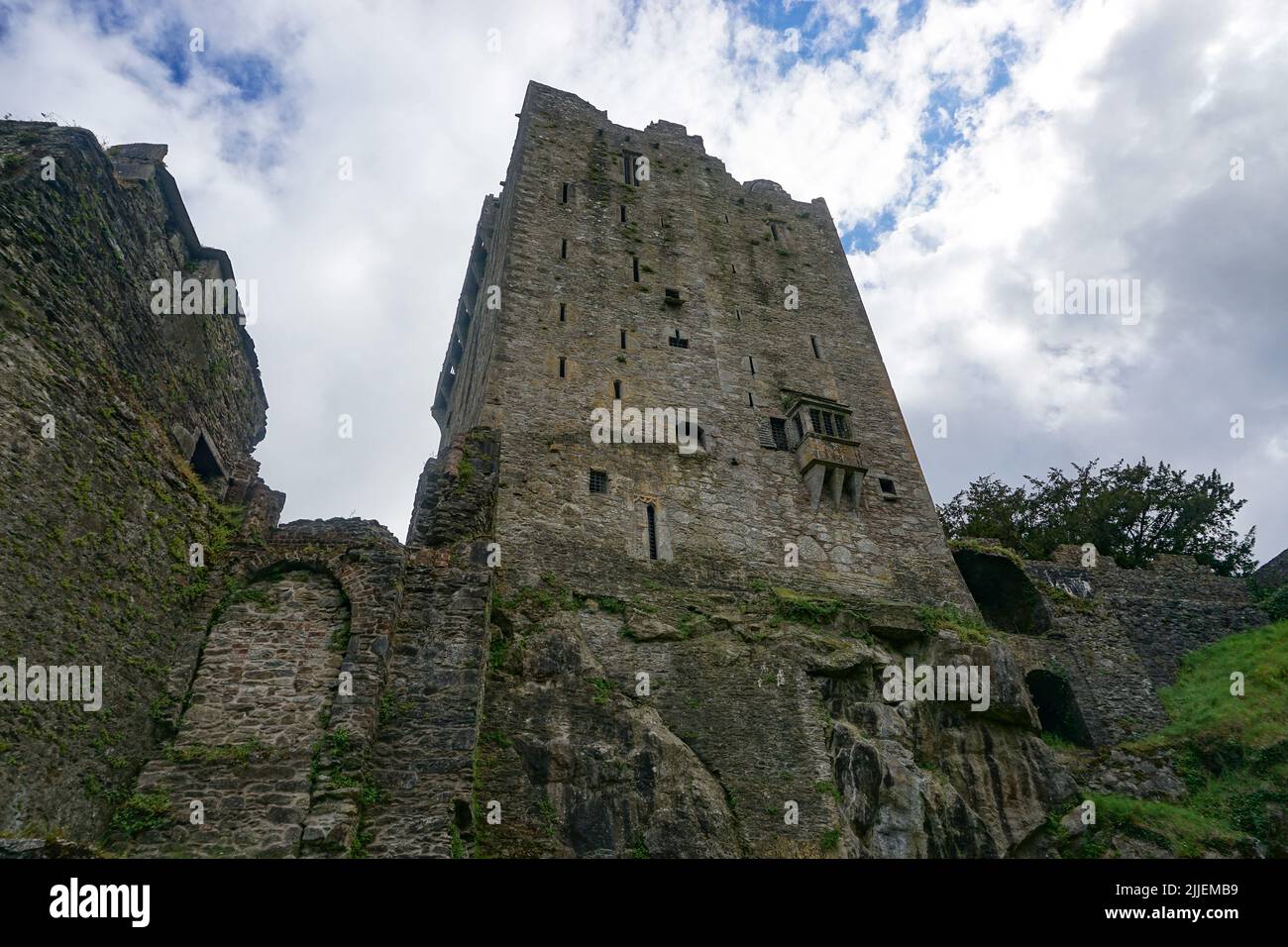 Blarney, Co. Cork, Ireland: The North Wall of Blarney Castle, a medieval stronghold built in 1446. Stock Photo