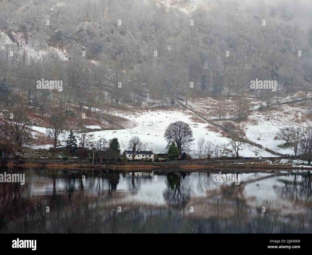 historic literary home Nab Cottage reflected on snowy shore of Rydal Water in wintry weather with bare alder trees near Grasmere, Cumbria, England, UK Stock Photo