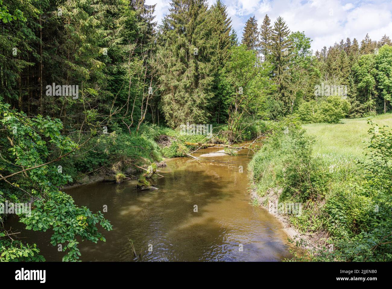 Natural river Murn, Germany, Bavaria Stock Photo