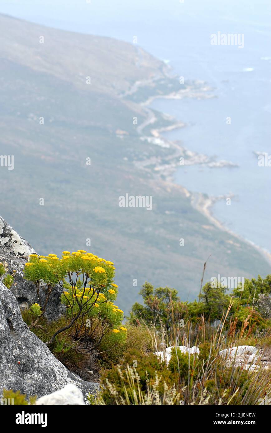 Landscape at the Table Mountain National Park, South Africa, Table Mountain National Park, Capetown Stock Photo