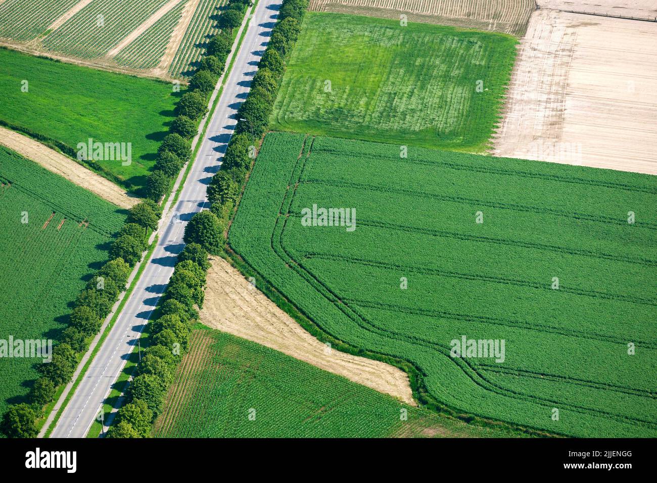road in field landscape, aerial view, Belgium, Flanders Stock Photo
