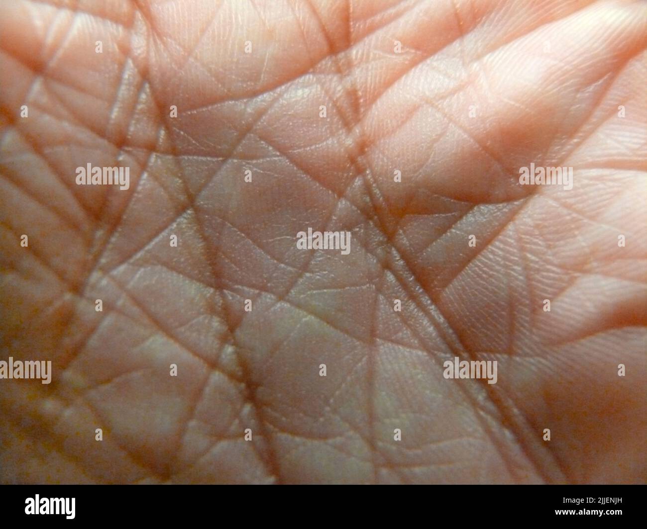 palm of a hand Stock Photo
