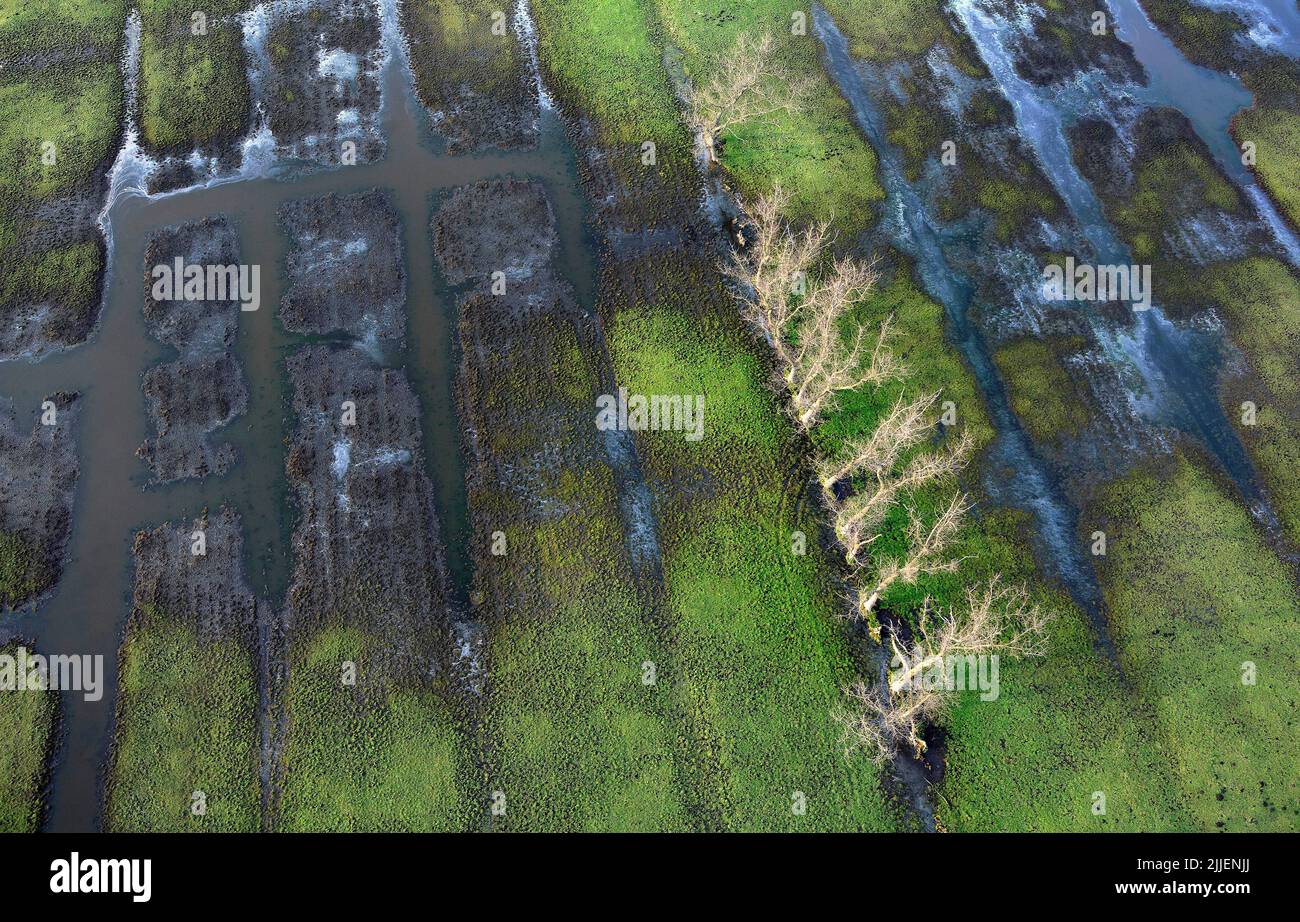 marsh and ditches, aerial view, Belgium, Flanders, Meetkerke Stock Photo