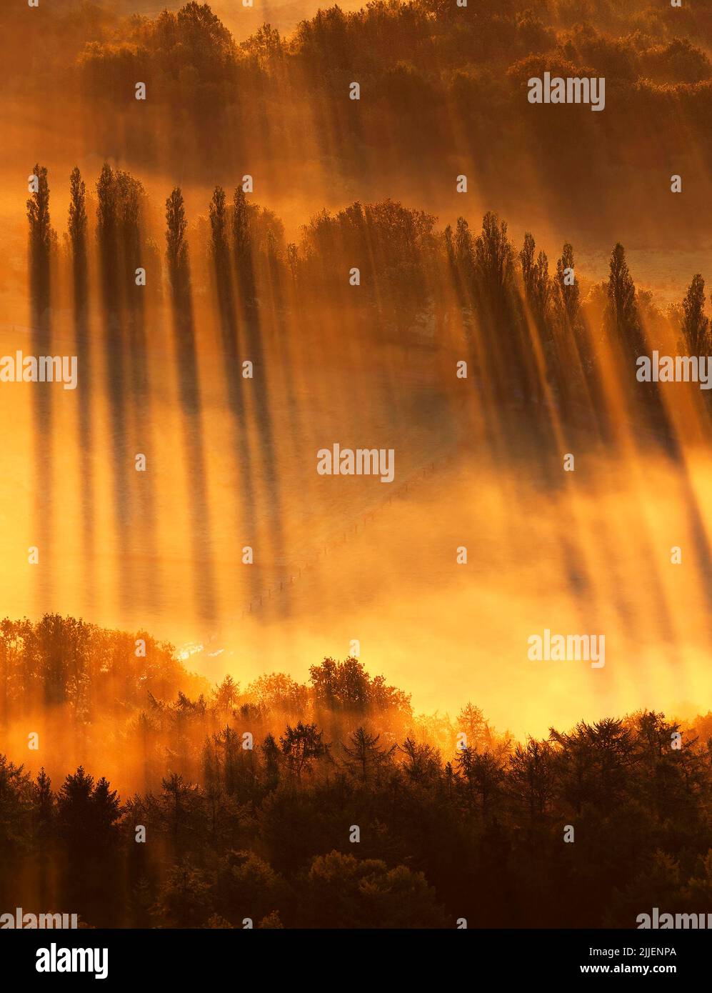 Brugs Ommeland im Morgenlicht, Luftbild, Belgium, Flanders Stock Photo
