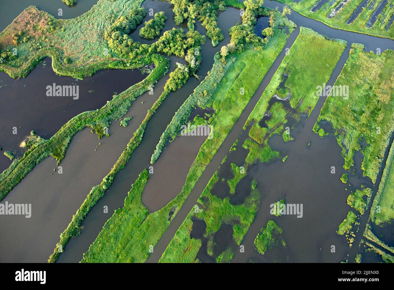 De Blankaart wetlands, aerial view, Belgium, Flanders Stock Photo