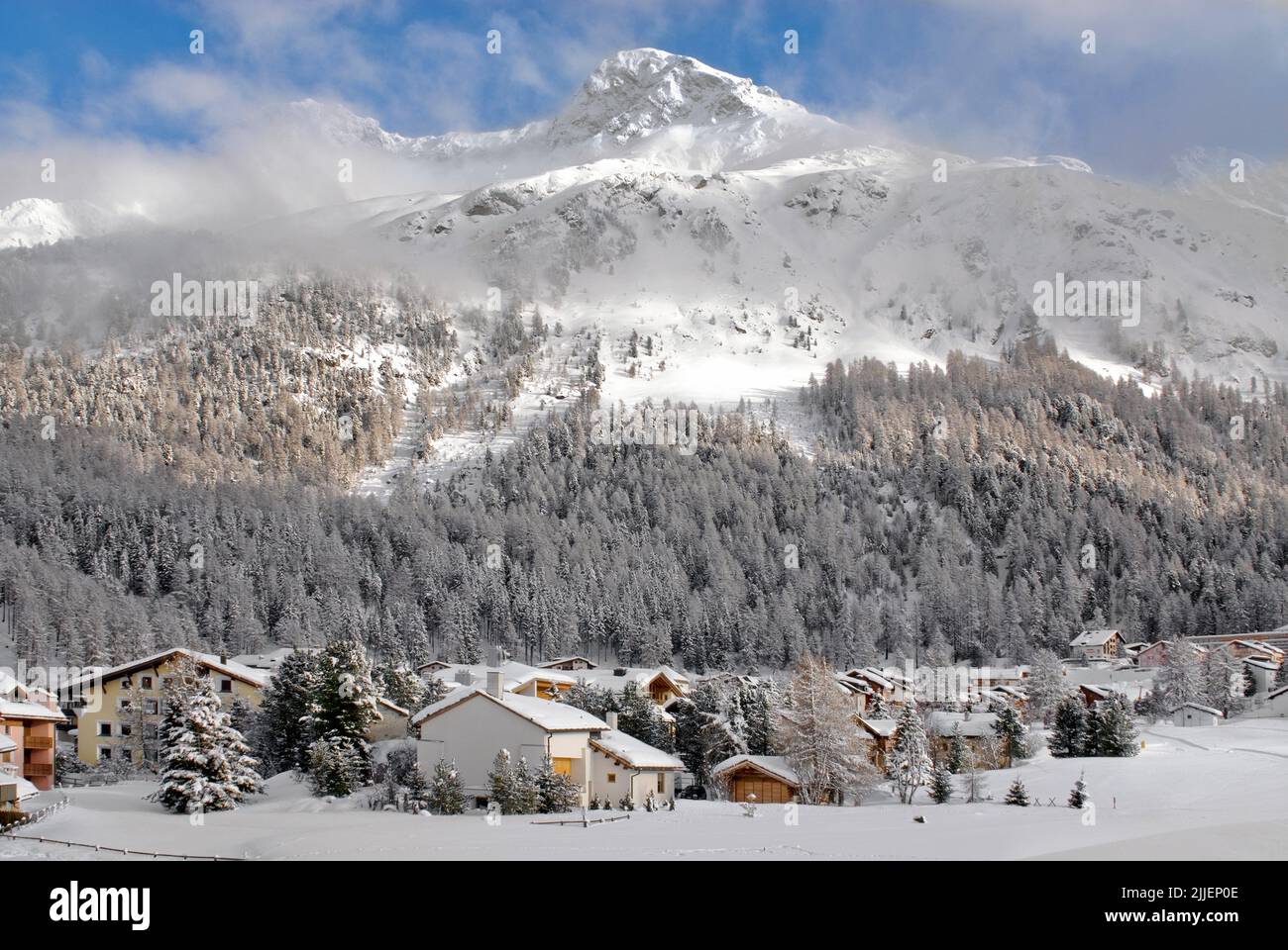 Surlej near Silvaplana in winter, Switzerland, Grisons, Engadine Stock Photo
