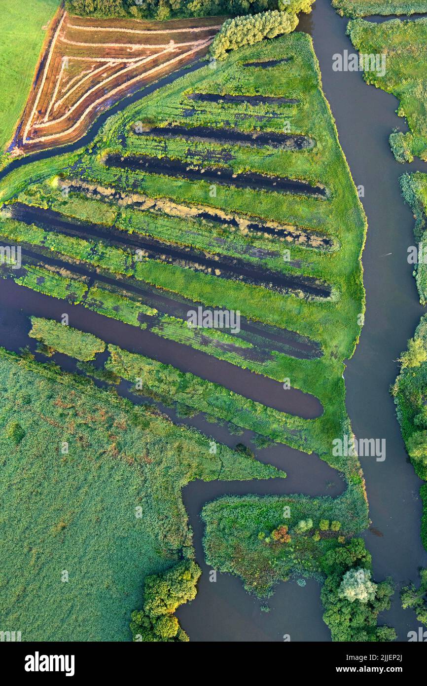 De Blankaart wetlands, aerial view, Belgium, Flanders, Diksmuide Stock Photo