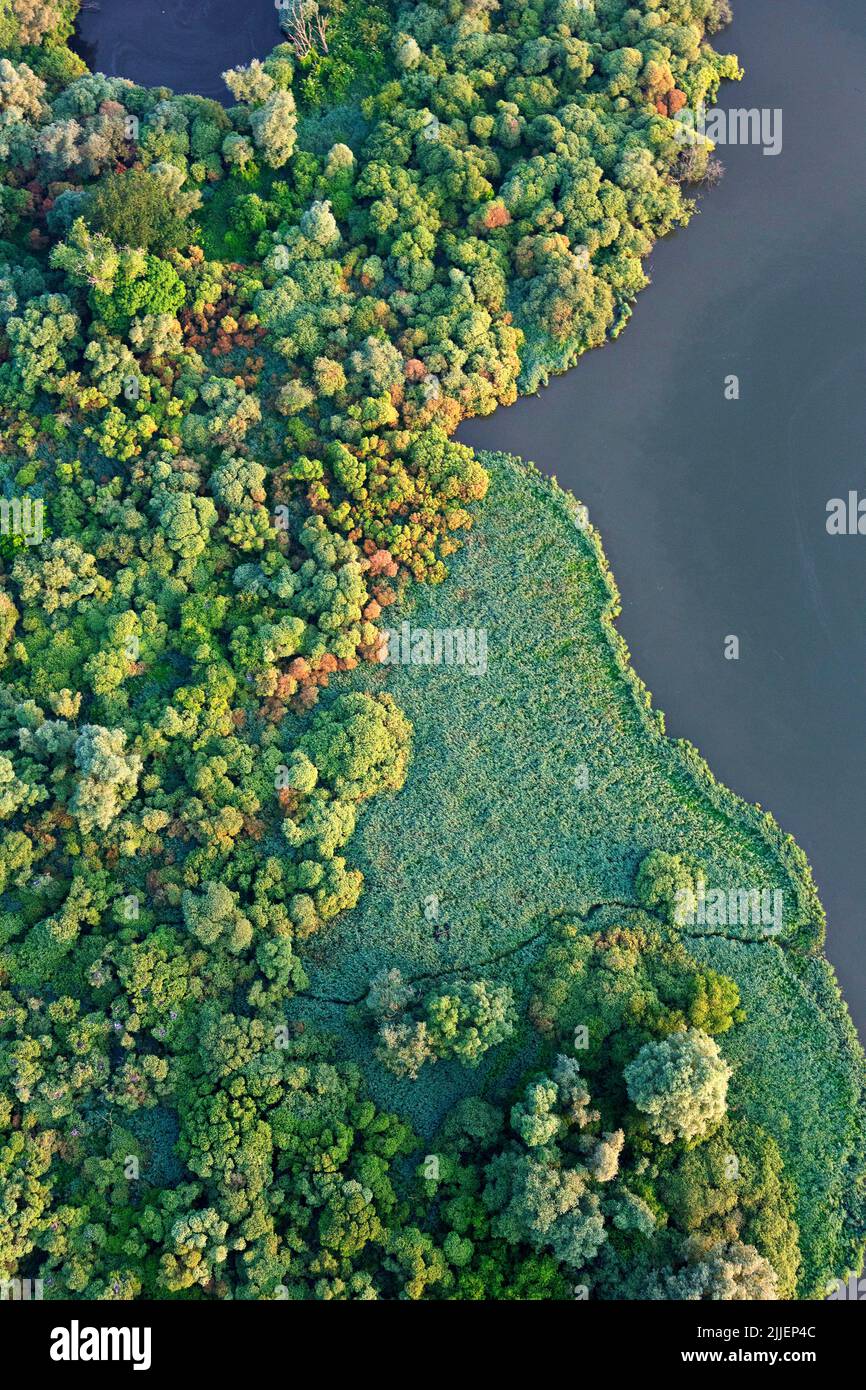 wetland De Blankaart, aerial view, Belgium, Flanders, Diksmuide Stock Photo