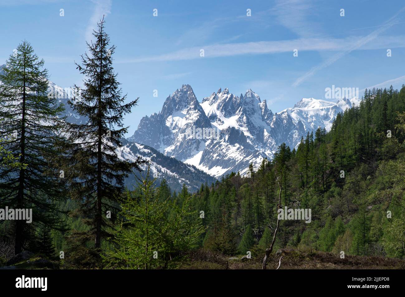 Landscape of the French Alps with the red needles and the Mont Blanc 