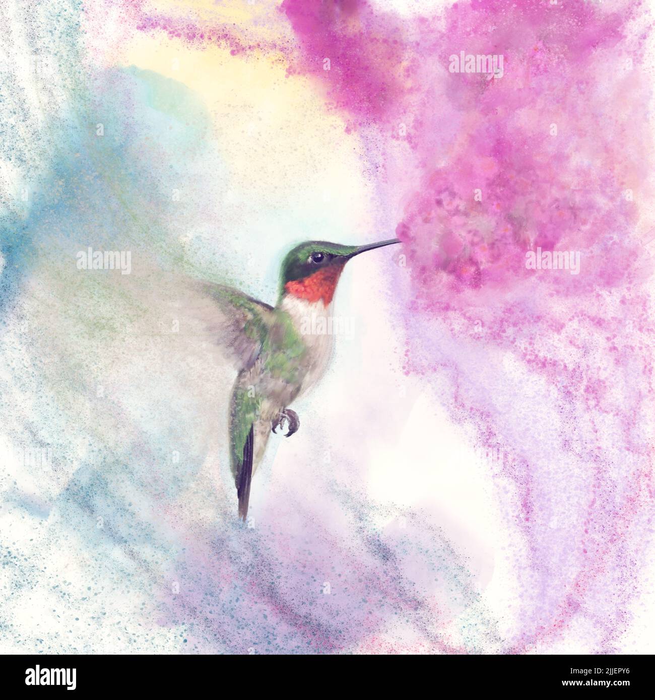 Digital Watercolor Painting of Hummingbird and flowers Stock Photo