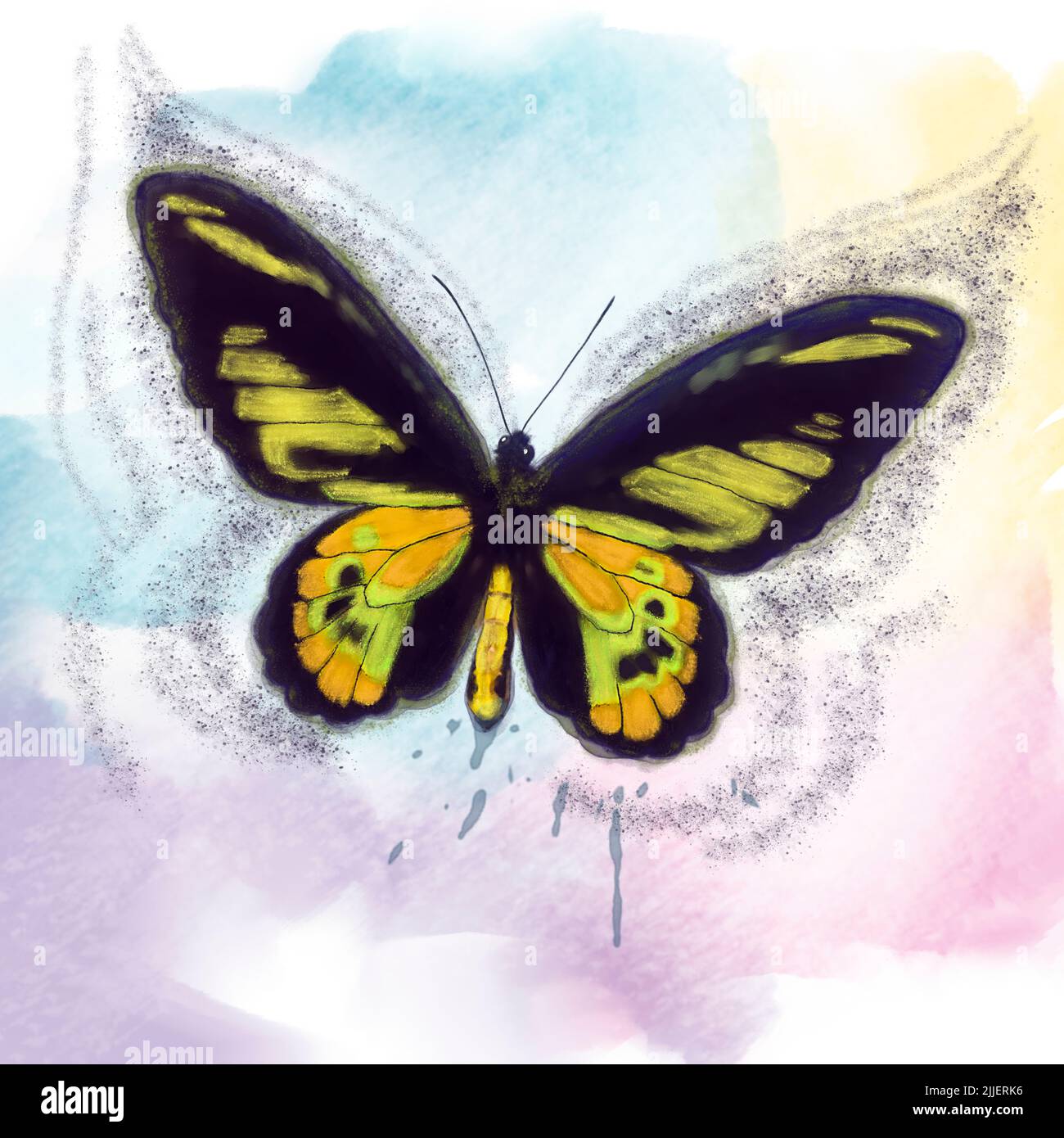 Watercolor Digital Painting of Tropical Butterfly Stock Photo