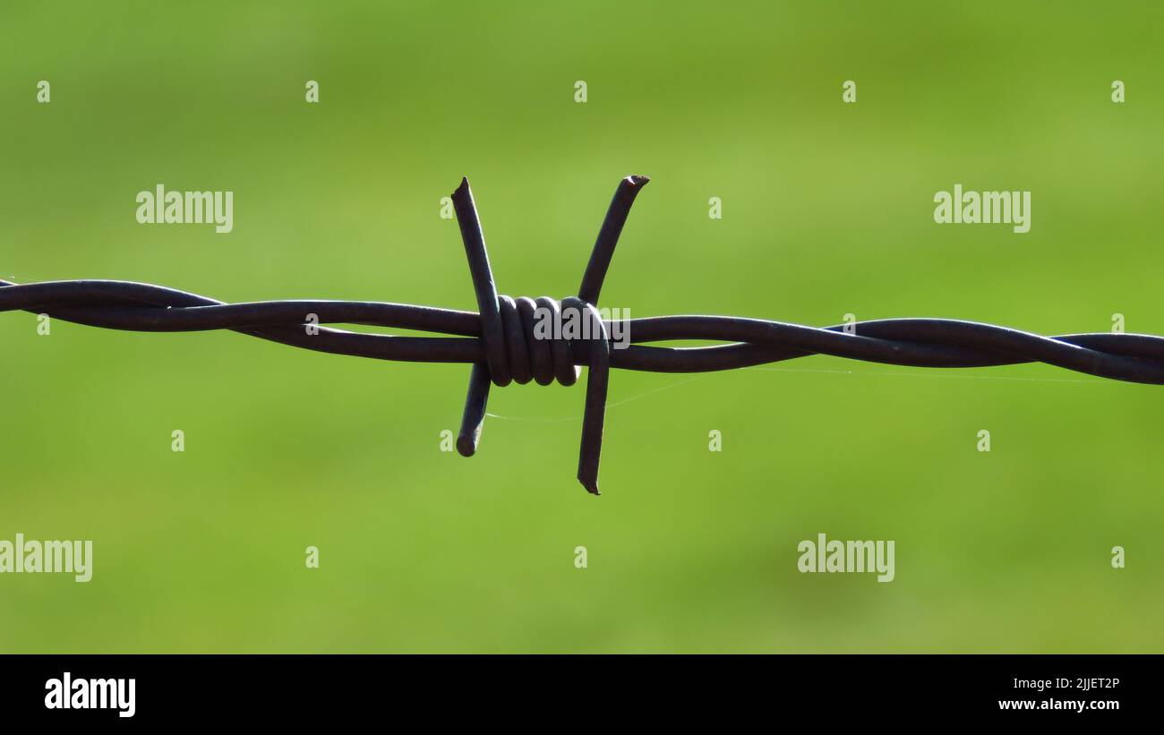 A barbed wire fence on blurred green background Stock Photo - Alamy