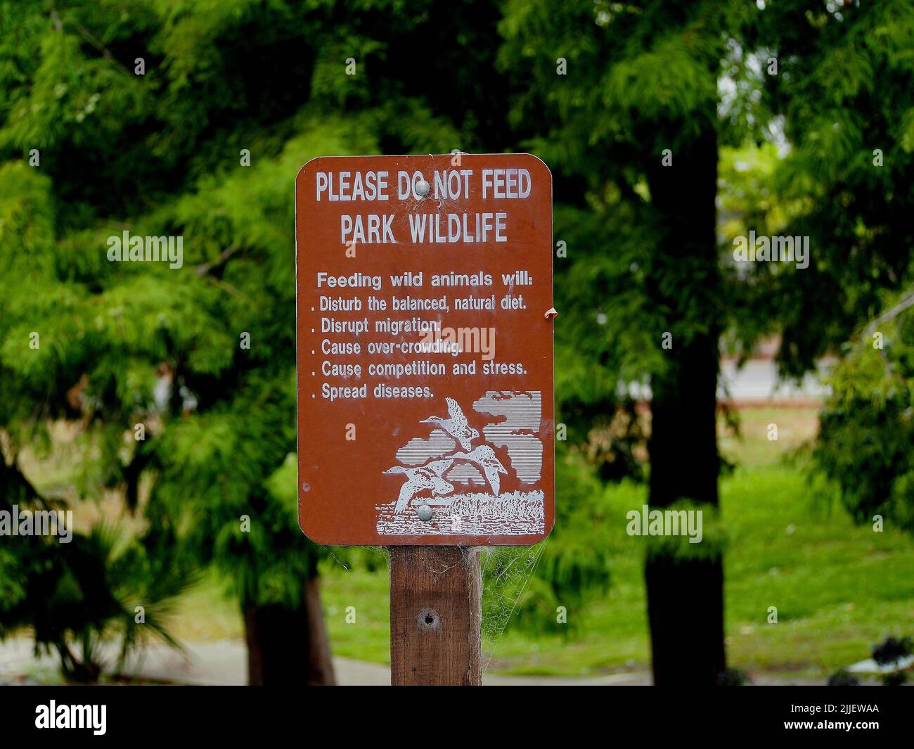 do not feed the wildlife sign in William Cann Civic Center in Union City, California Stock Photo