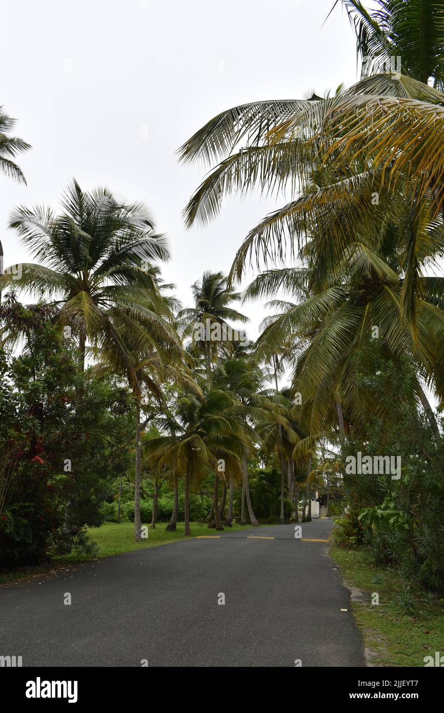 Pigeon Point, Tobago - July 12, 2022 - Pigeon Point Heritage Park Stock Photo