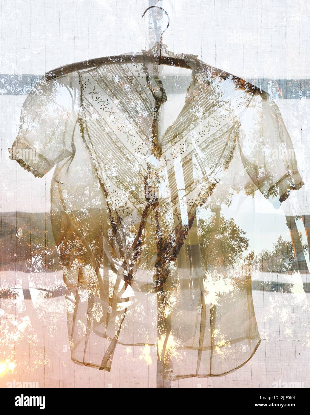 Lace Blouse with Trees Stock Photo
