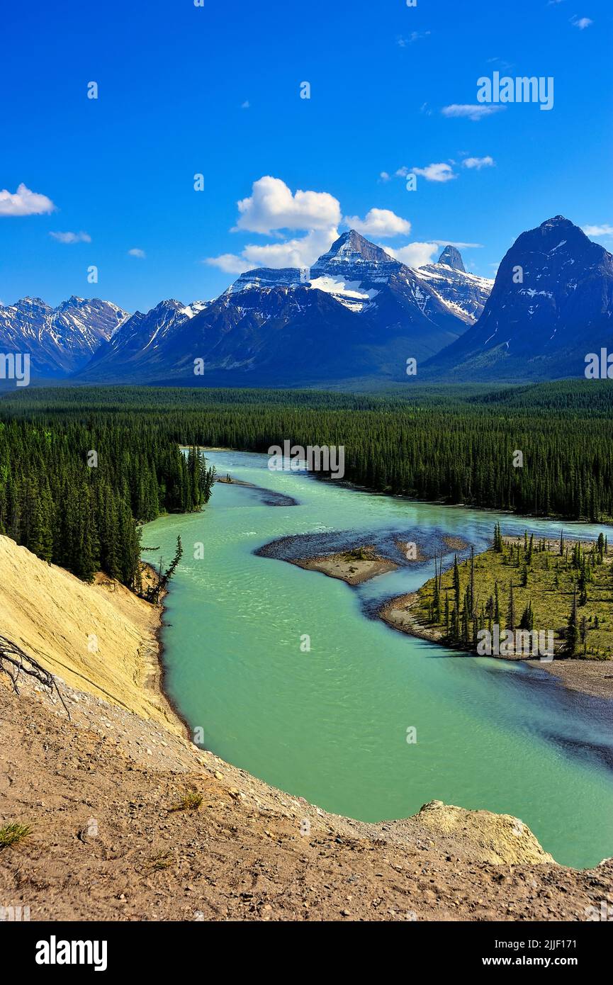 A vertical summer landscape of the fast flowing glacier fed Athabasca river with Mount Christie as a backdrop in the magnificent Canadian Rockies. Stock Photo