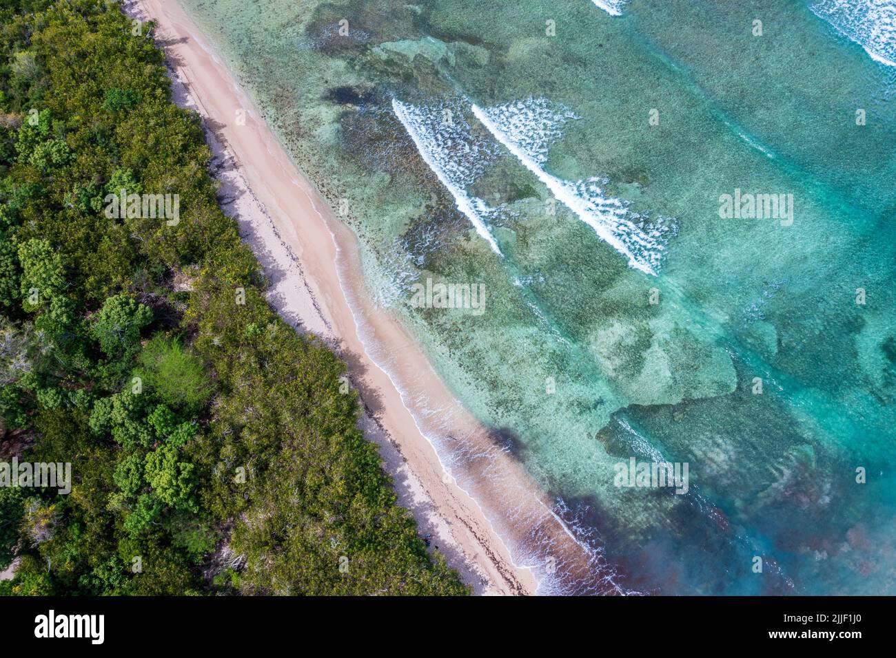 Aerial view of a tropical beach with clear blue waters by the Jungle ...