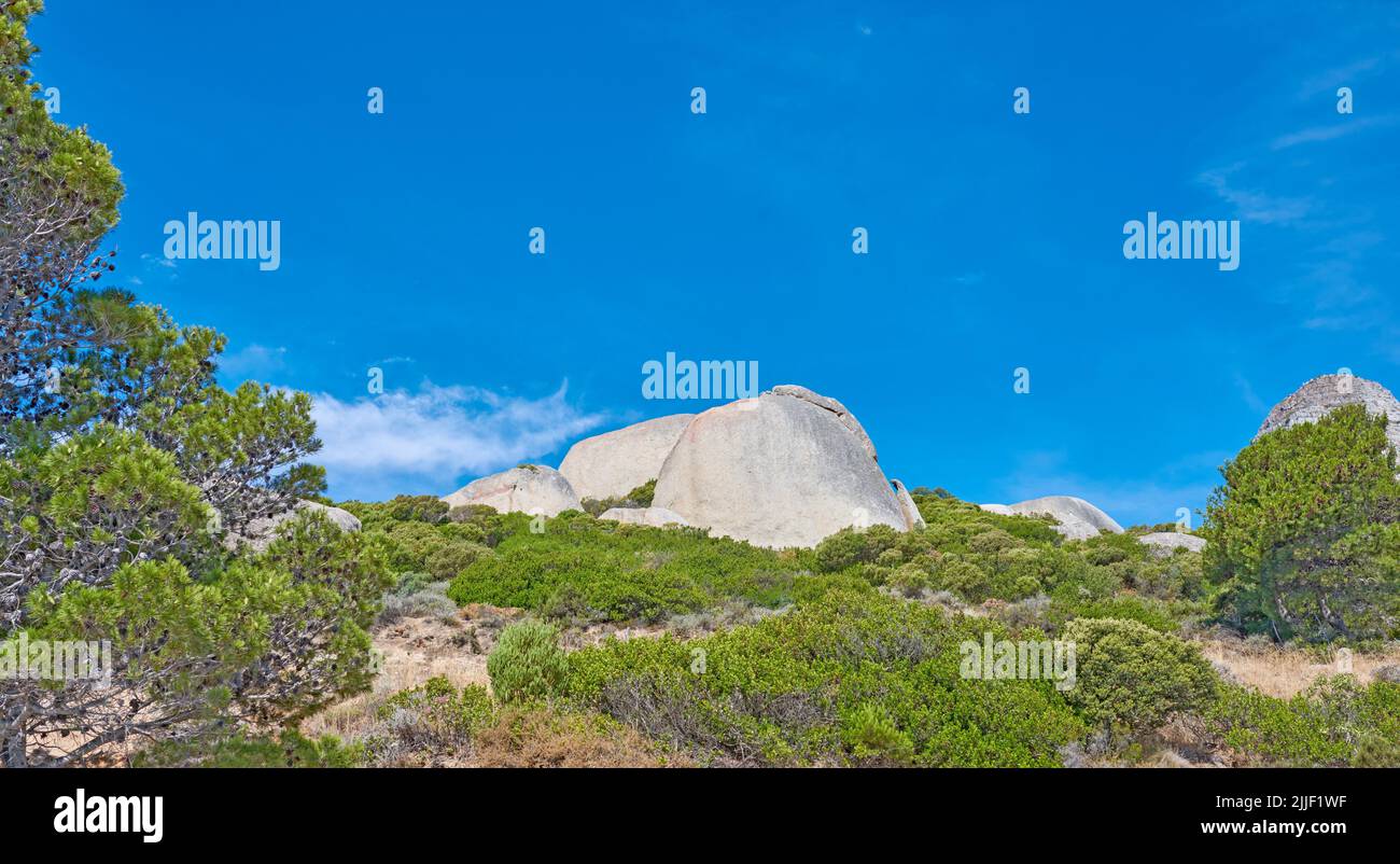 Large rocks with trees and shrubs growing on a hill. Landscape of wild nature of South Africas ecosystem with green plants on a mountain in summer Stock Photo
