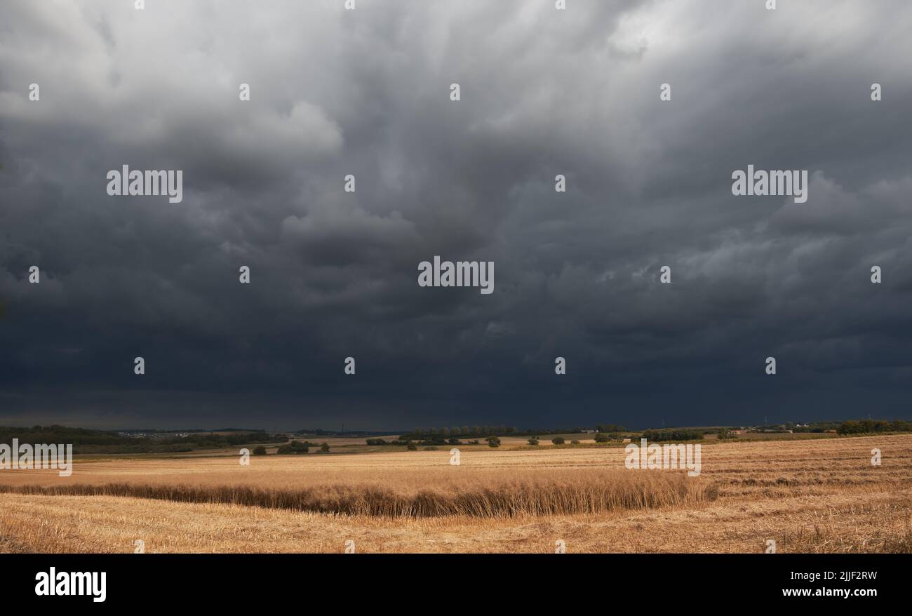 Landscape view of dark clouds in harvest nature. Grey cloudy sky over dry grassy cold field with autumn colors in the outdoor life. Stormy, overcast Stock Photo