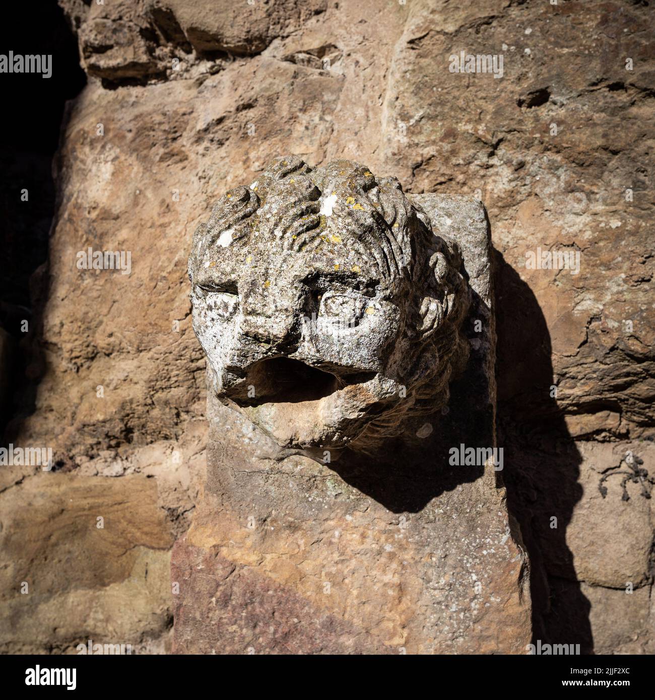 Photo of a damaged gargoyle, taken on a winter sunny afternoon at the Frontfroide Abbey, France Stock Photo