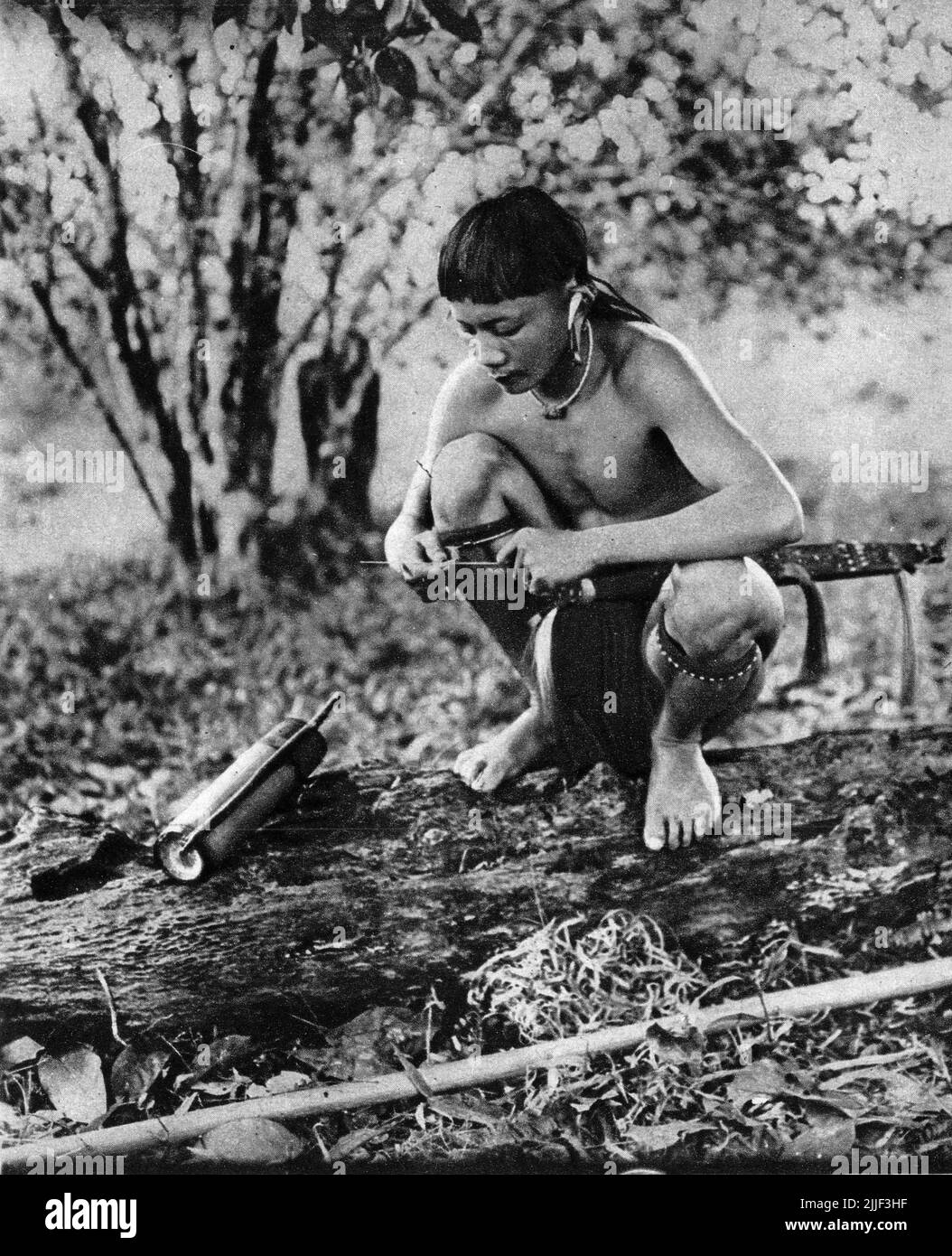 A Dayak man from Bornoe makes a poison dart for his blowpipe, using stems from the Bertram Palm; Image published 1929. Stock Photo