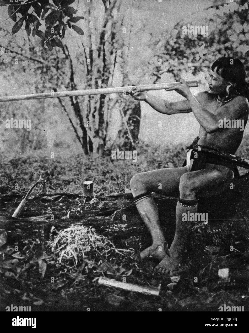 A Dayak man from Bornoe checks the bore and straightness of his newly-made blowpipe; Image published 1929. Stock Photo