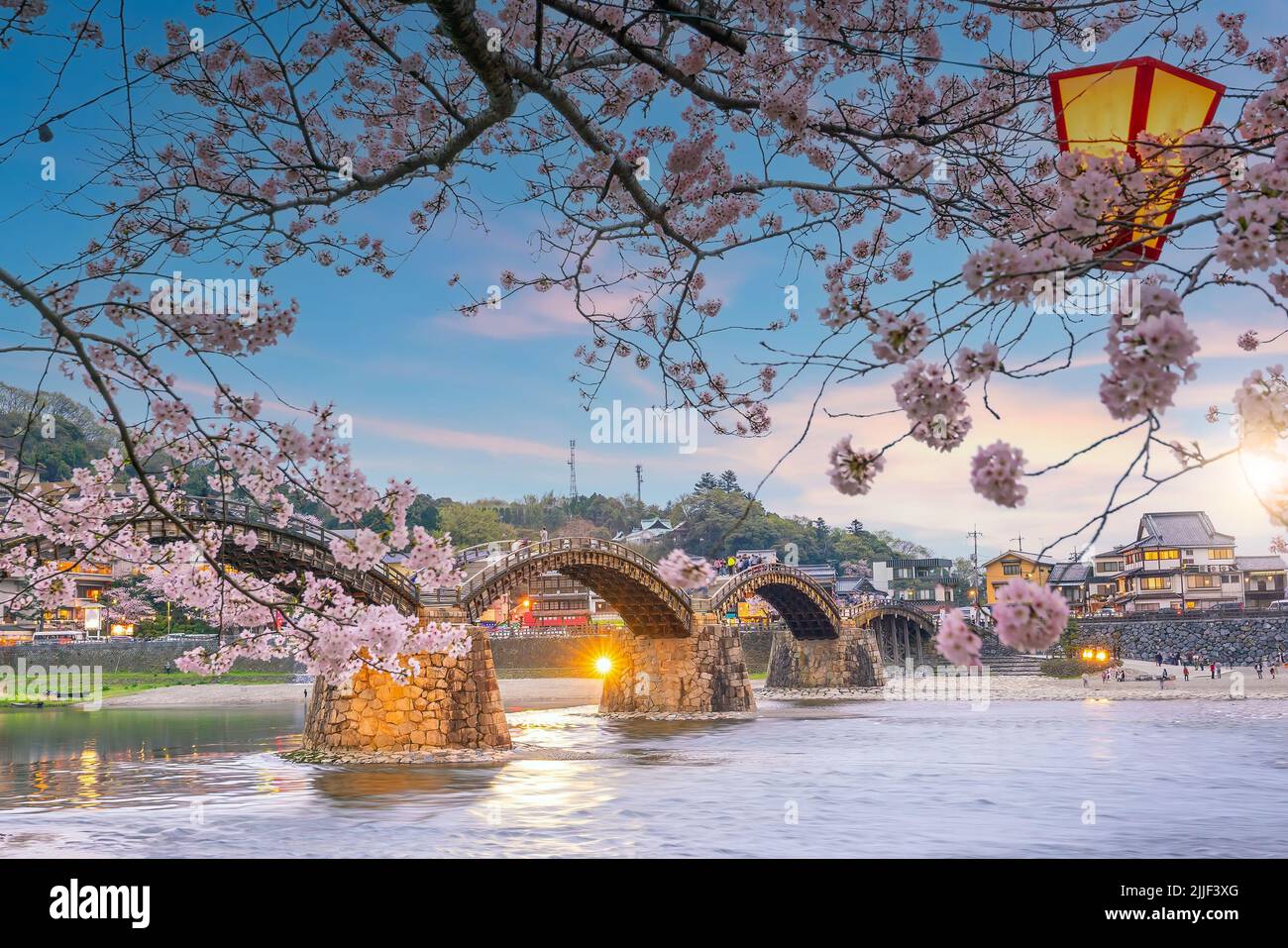 Kintaikyo Bridge in Iwakuni, Japan at sunset with cherry blossom Stock