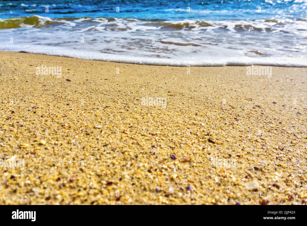 Close up of golden sands and gentle waves lapping onto Watsons Bay beach in Sydney, Australia. Sandy beach background with copy space. Stock Photo