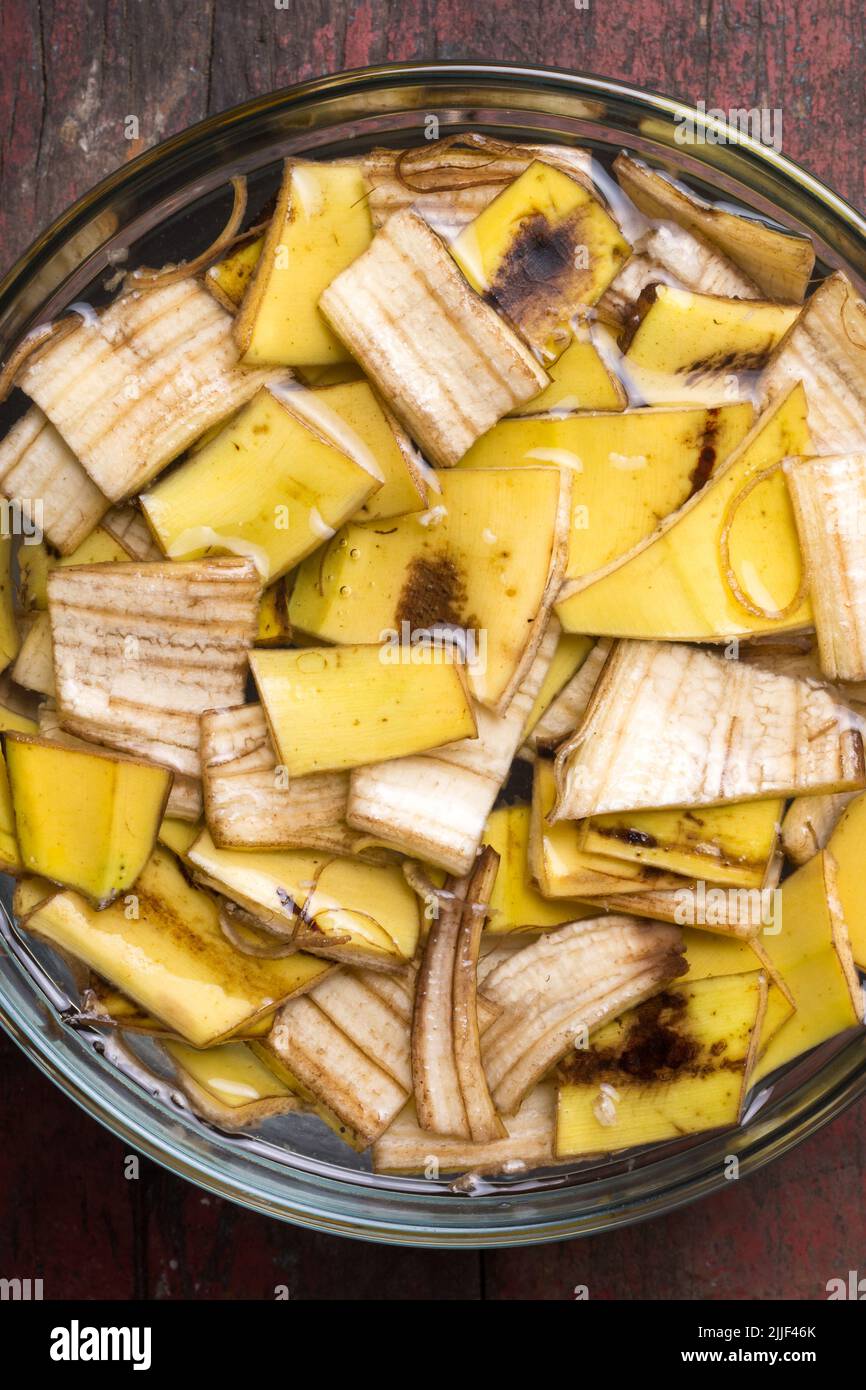 cut banana peels pieces soaked in water, food waste used as natural