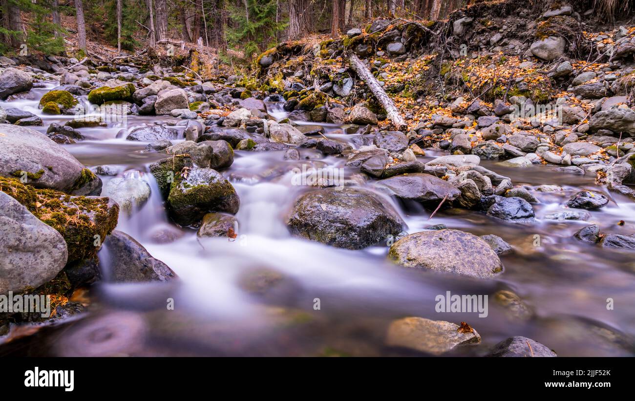 Fall Colors at Long Exposure of Mcgillivray Creek near the town of Whitecroft in British Columbia, Canada Stock Photo
