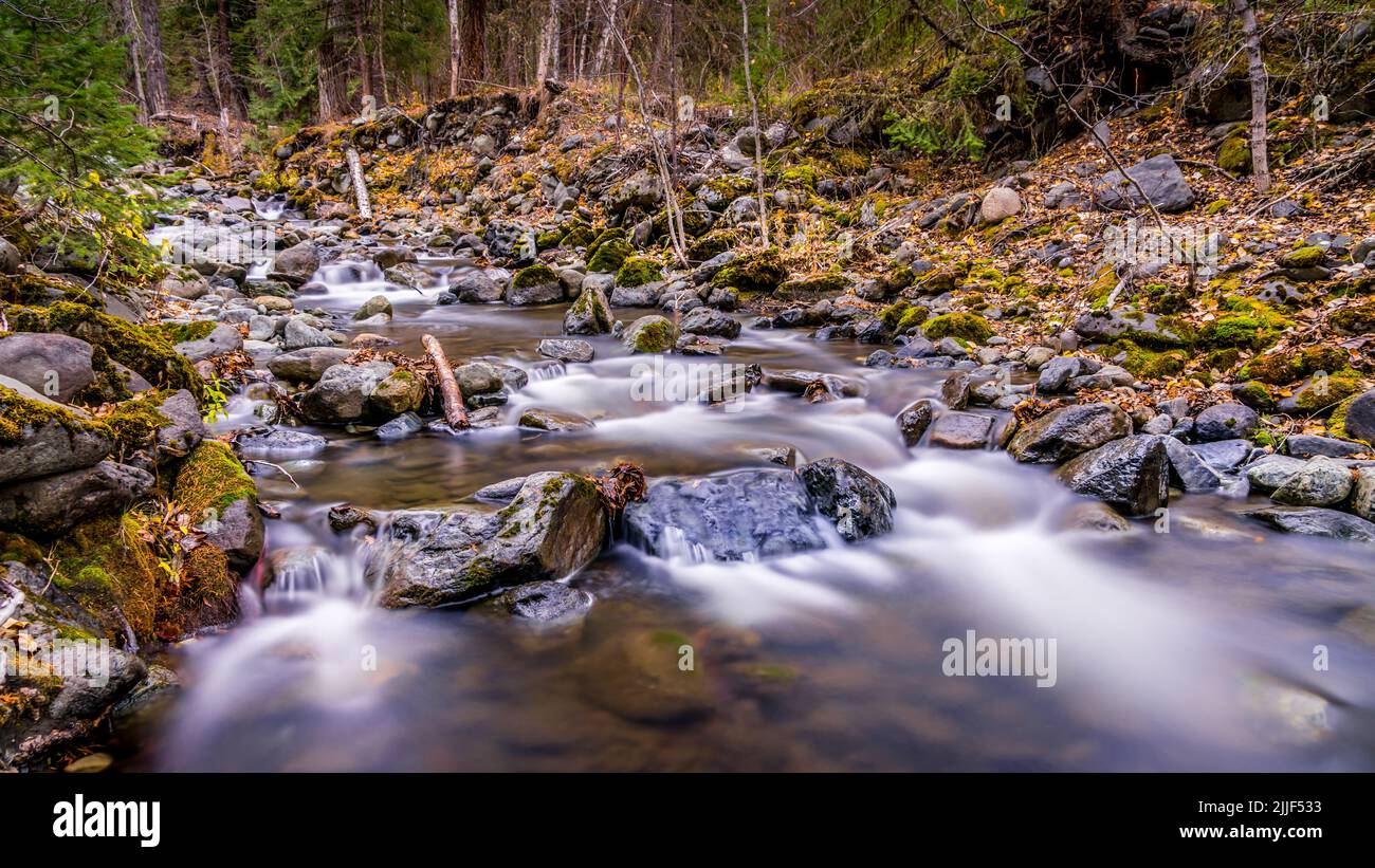 Fall Colors at Long Exposure of Mcgillivray Creek near the town of Whitecroft in British Columbia, Canada Stock Photo