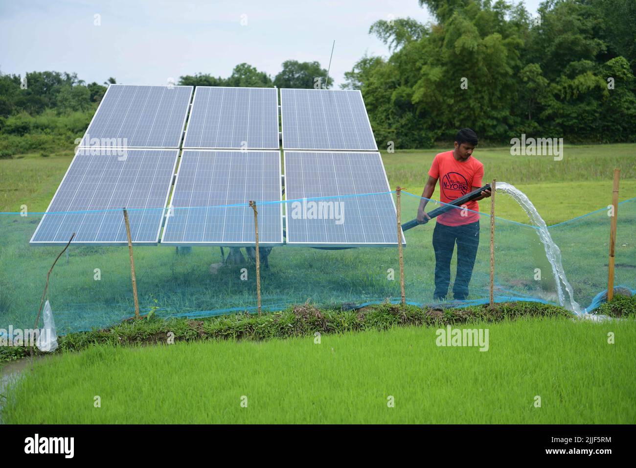 Ripan Deb, a 37 year old farmer putting water to his field through a solar-powered water pump which was installed in his field with the help of the Government of Tripura’s subsidised policy in Gokulnagar, Agartala. Tripura, India. Stock Photo