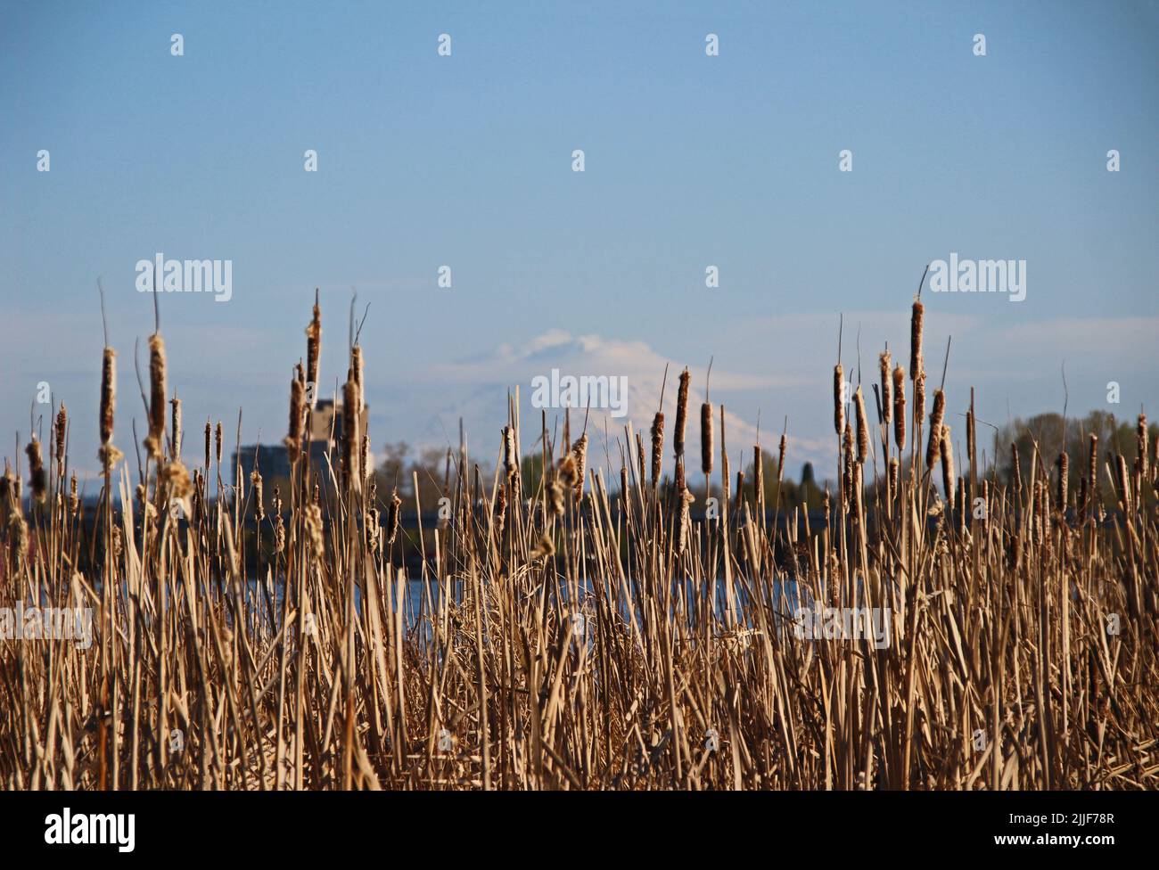 Ubna Uw wetlands hi-res stock photography and images - Alamy