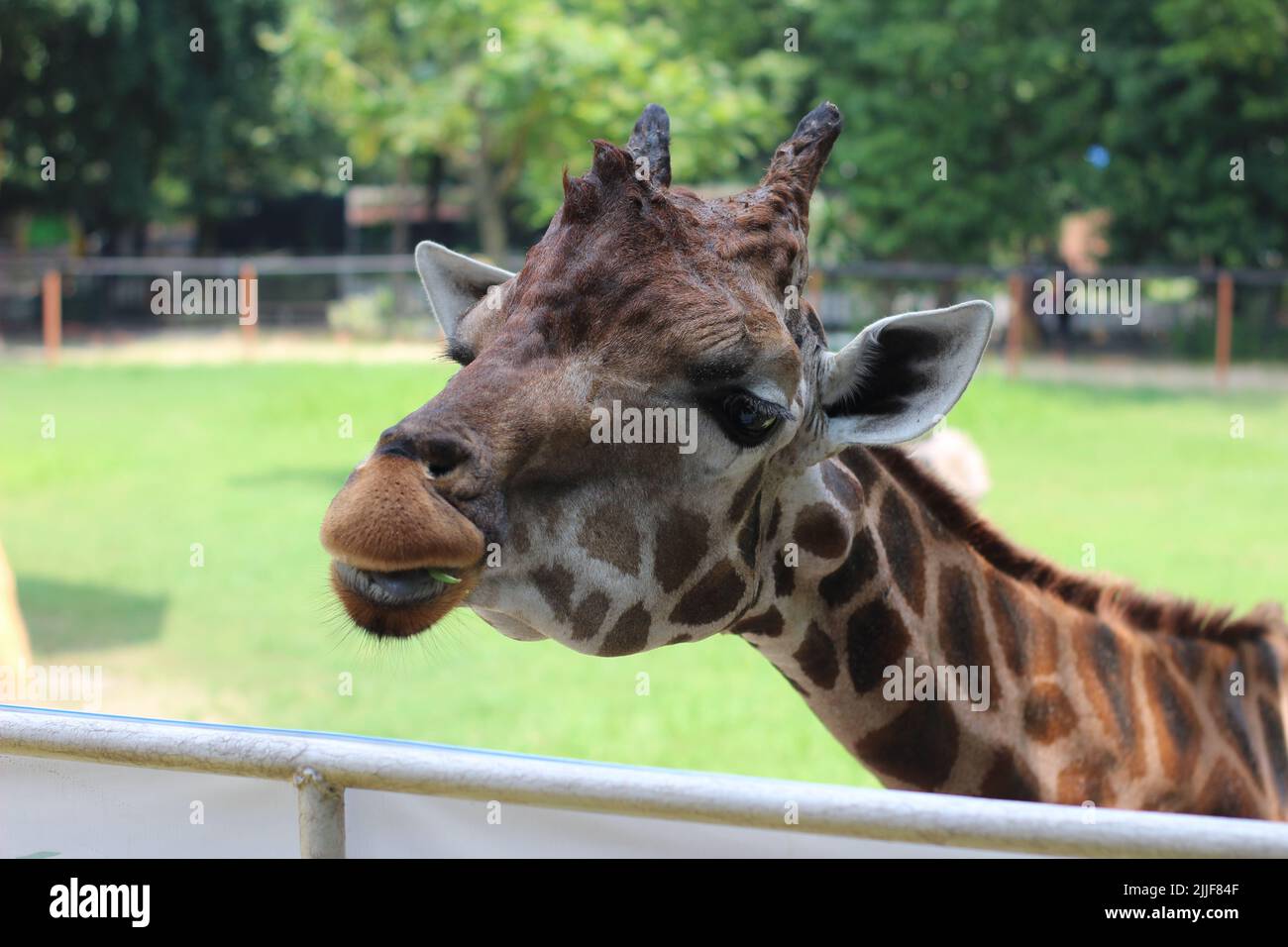 45+ Zoo Gärtner Berger Str, Telefonnummer ☎ adresse webseite email