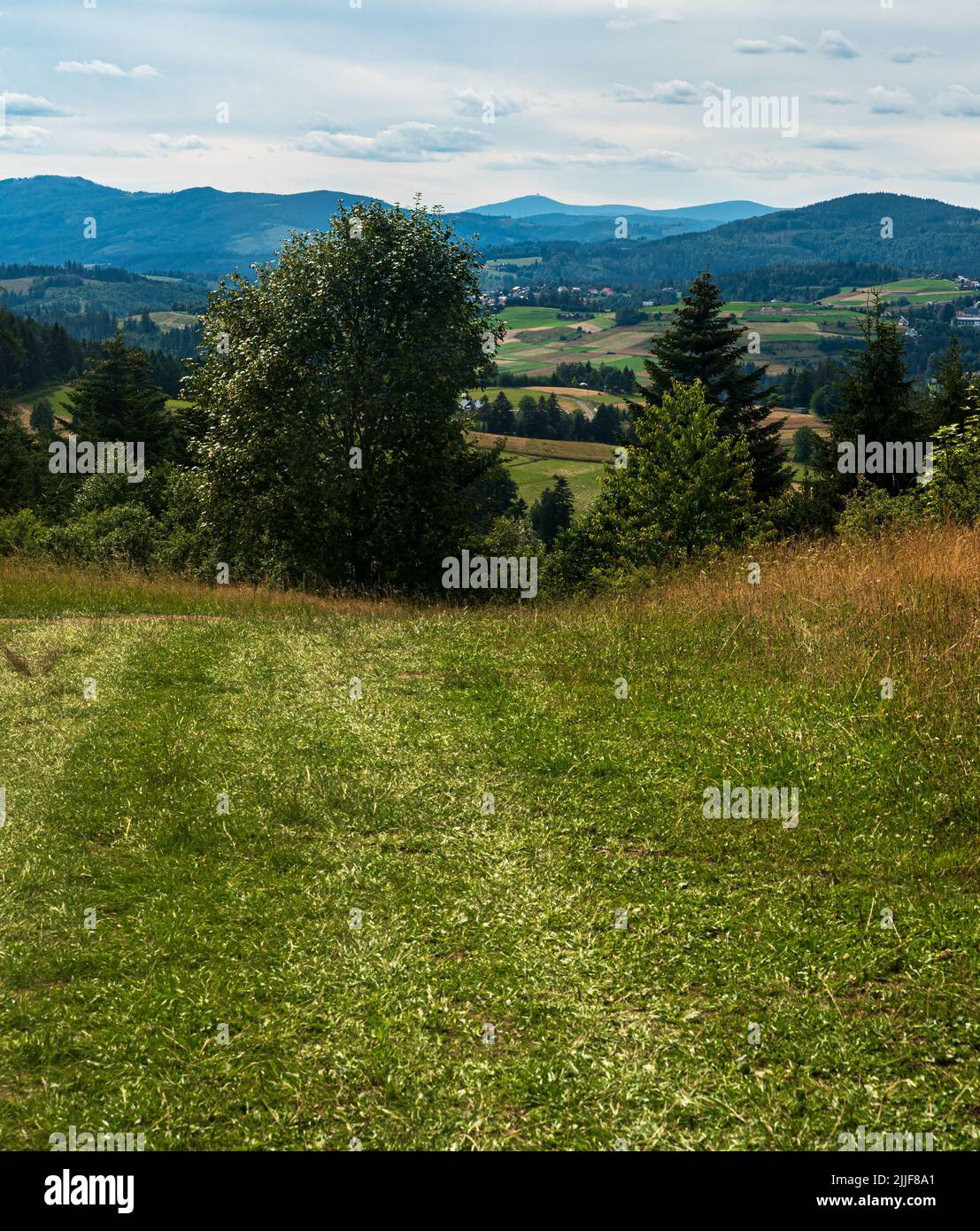 Beautiful mountain scenery with highest Lysa hora hill in Moravskoslezske Beskydy mountains from meadow above Jaworzynka village in Poland during summ Stock Photo